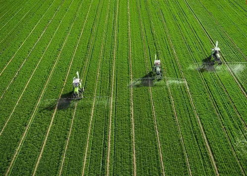 百果园发力果蔬加工 以全程托管服务增值农业，赋能生态农业新生态