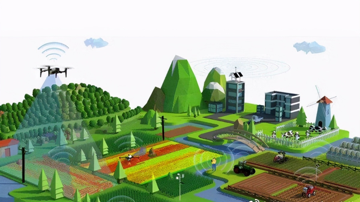 数字赋能 乡村振兴战略下农业现代化的新引擎