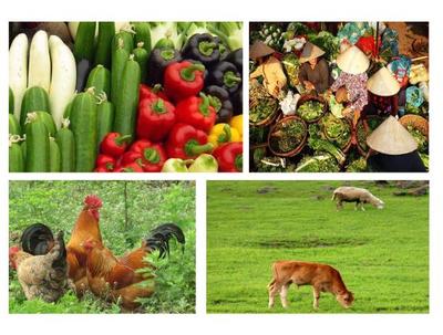 发展现代农业 农产品商标注册的策略与选择