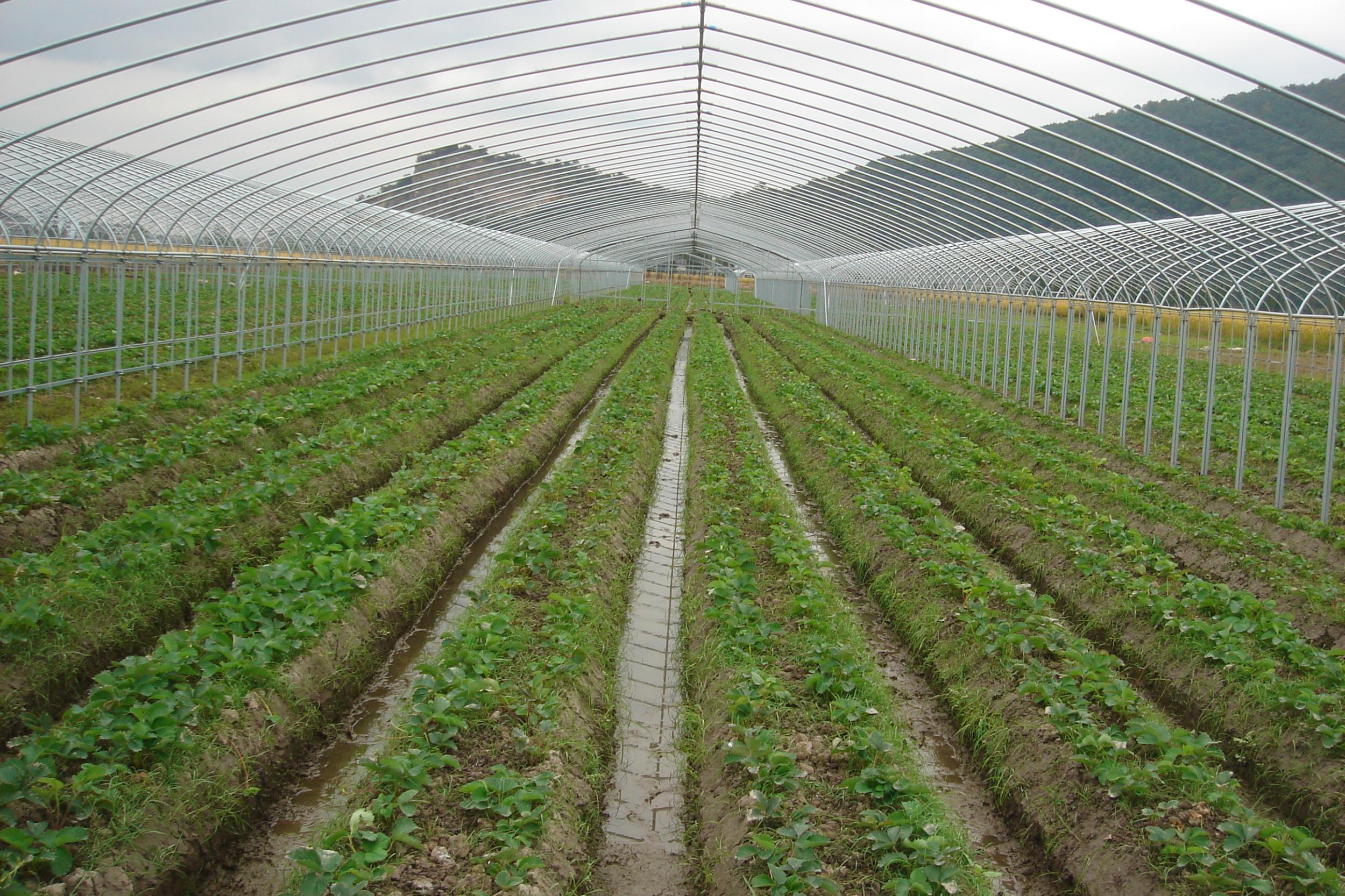 平阳三农 创新引领，谱写三农发展新篇章