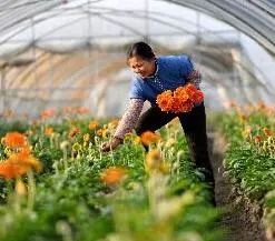 国家扶贫日 产业扶贫十大机制创新典型发布，农业领域展现脱贫攻坚新路径